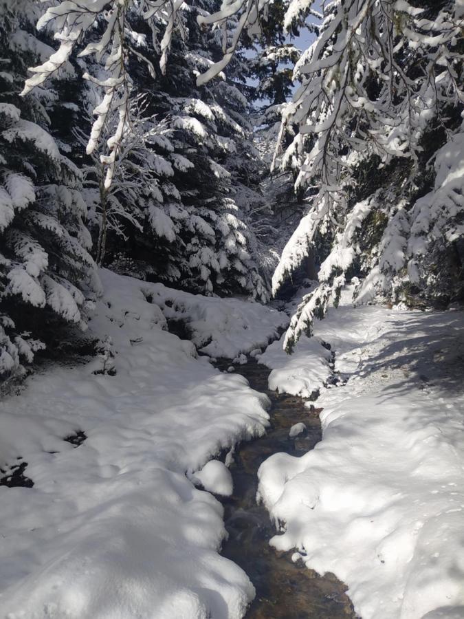 Studio 3 Personnes Au Pied Des Piste Plateau De Bonascre - Ax 3 Domaines Ete Hiver Ax-les-Thermes Zewnętrze zdjęcie